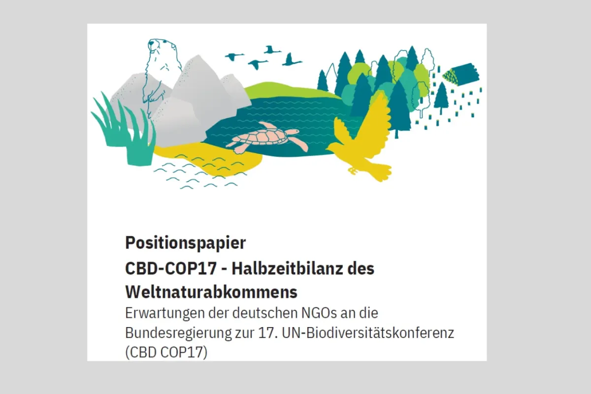 Titelbild des Positionspapiers zur CBD COP 17 - grafische Darstellung von Natur, unter anderem Berge, Gewässer, Wald, Schilf sowie Murmeltier, Greifvogel und Meeresschildkröte